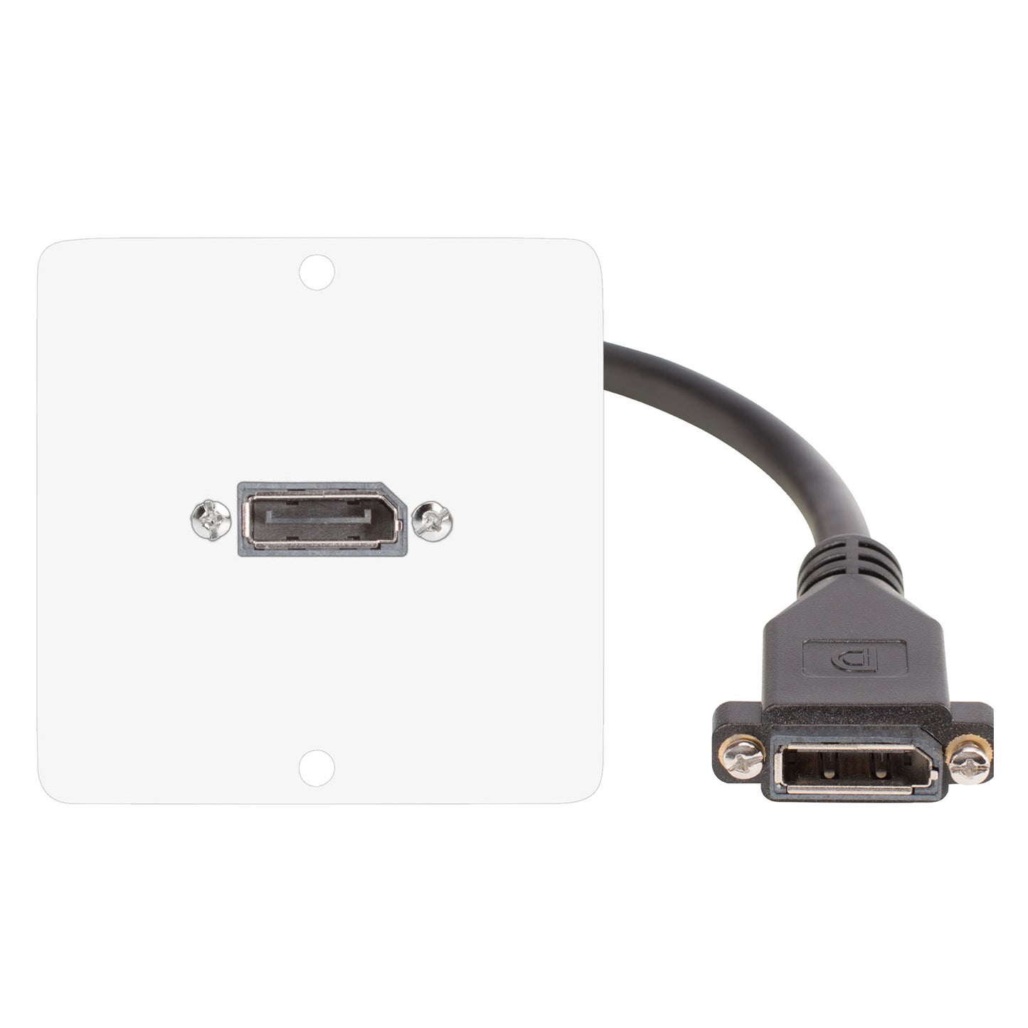 connection-modul Display port fem. —> Panel-mount display port fem. 0.15 m, scale: 50x50 mm, stainless steel, colour: baltas