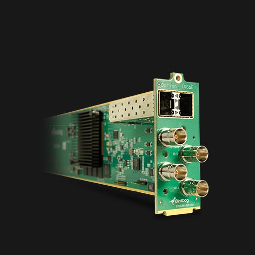 BirdDog OG4 4-Channel 12G SDI openGear Card