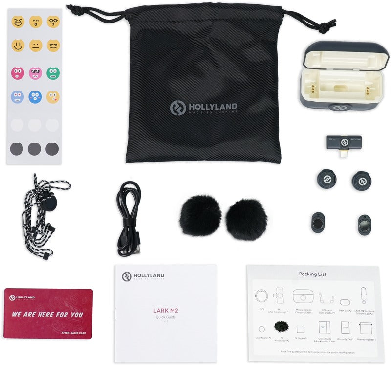 Hollyland Lark M2 USB-C - Wireless Lavalier Microphone with USB-CPlug (Duo,Shine Charcoal)