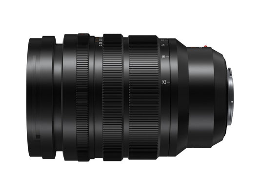 Panasonic Leica DG Vario-Summilux 10-25mm f/1.7 ASPH