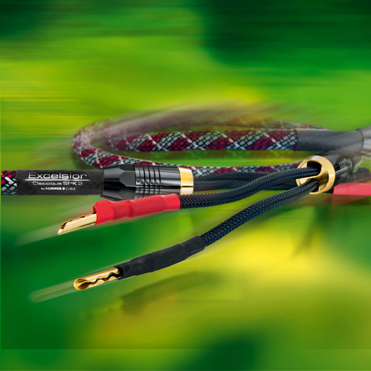 2 x speaker cable, 2 x 4,00 mm² | Banana connector / Banana connector