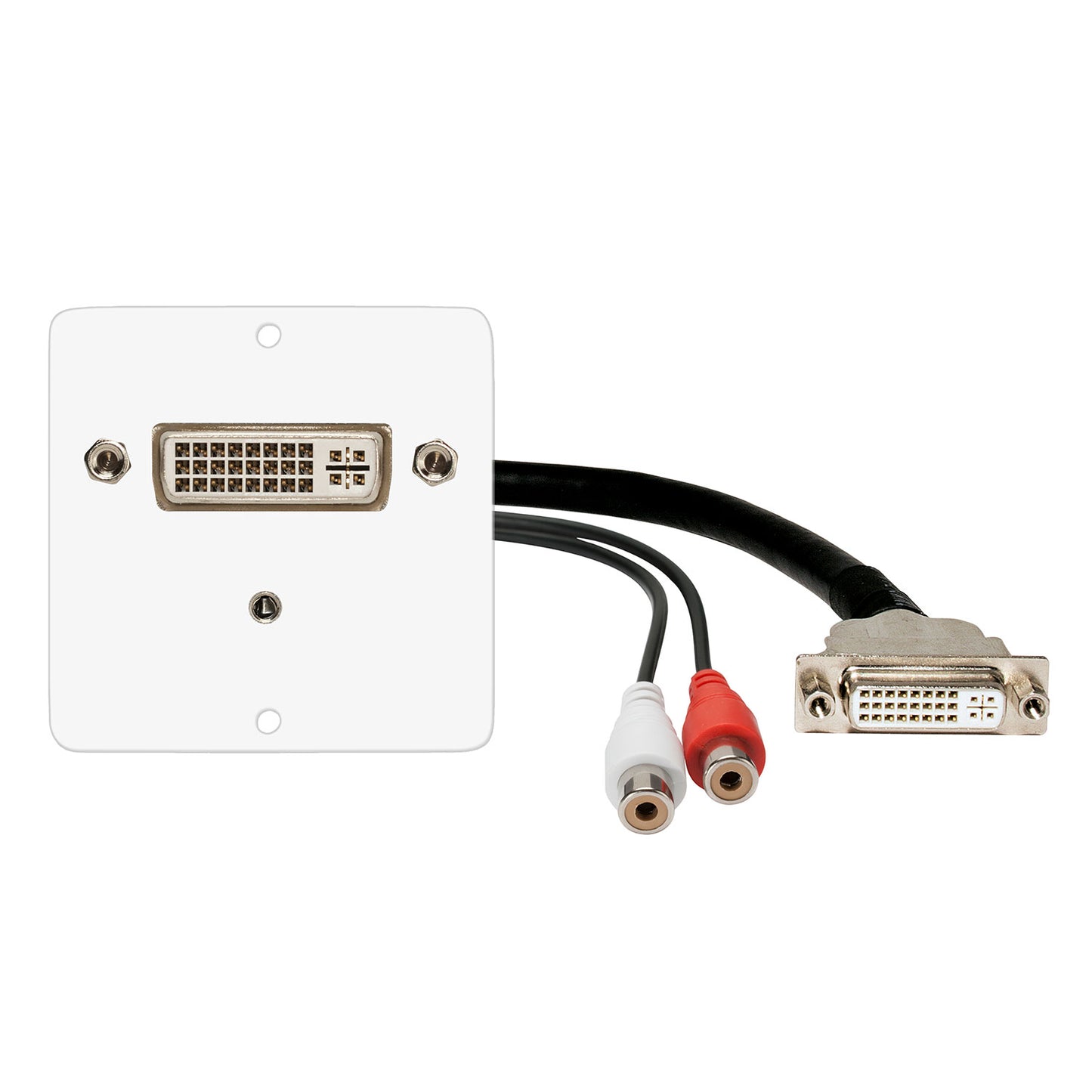 connection-modul DVI fem. —> 0.15 m breakout cable DVI fem. + 3.5 mm stereo mini jack fem. —> 0.15 m breakout cable 2 x RCA / RCA fem., scale: 50x50 mm, stainless steel, colour: baltas