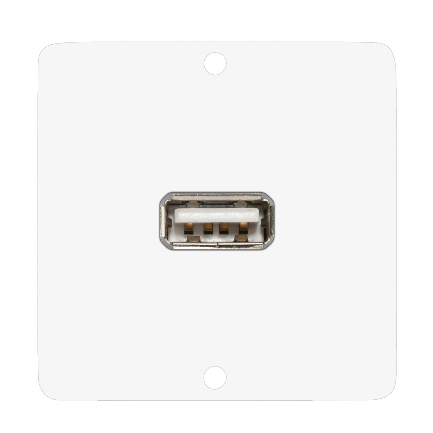 connection-modul USB-A fem. —> Screw terminal, scale: 50x50 mm, stainless steel, colour: baltas