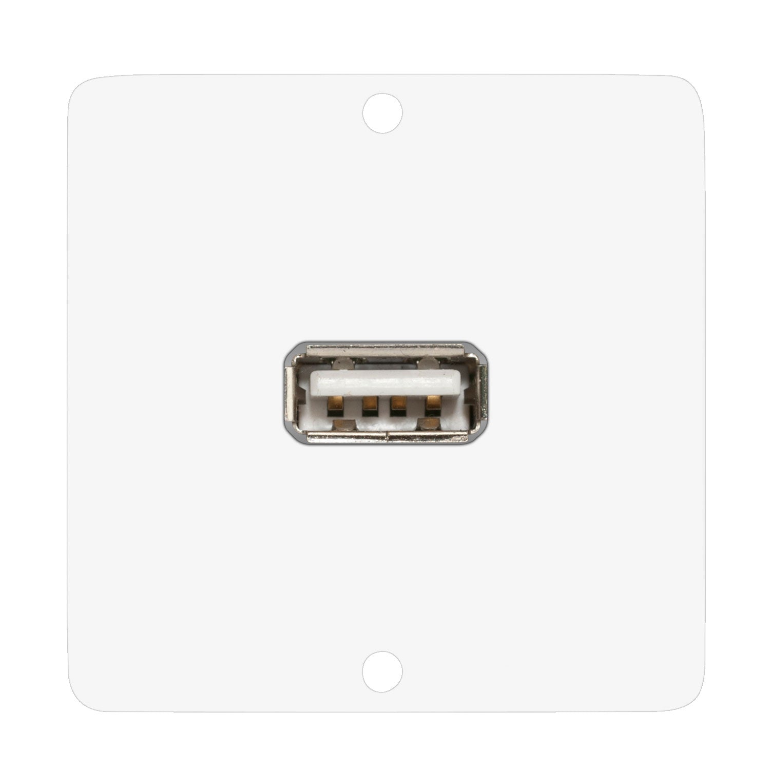connection-modul USB-A fem. —> Screw terminal, scale: 50x50 mm, stainless steel, colour: baltas