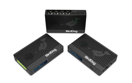BirdDog 4K Quad