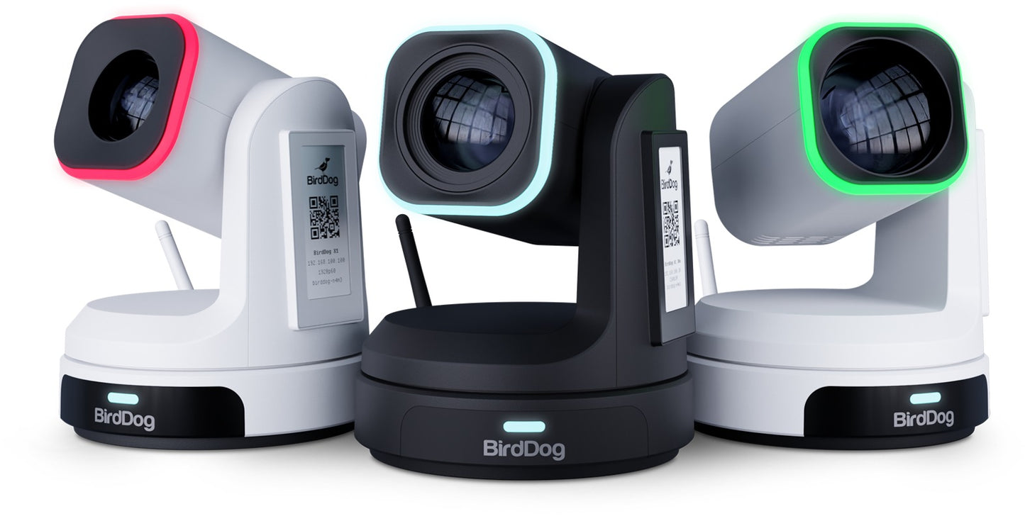 BirdDog DC5.5/2.5 to BirdDog Camera (P-Series, X1/X1Ultra/X1-30, MAX and X5 Ultra) - 60cm