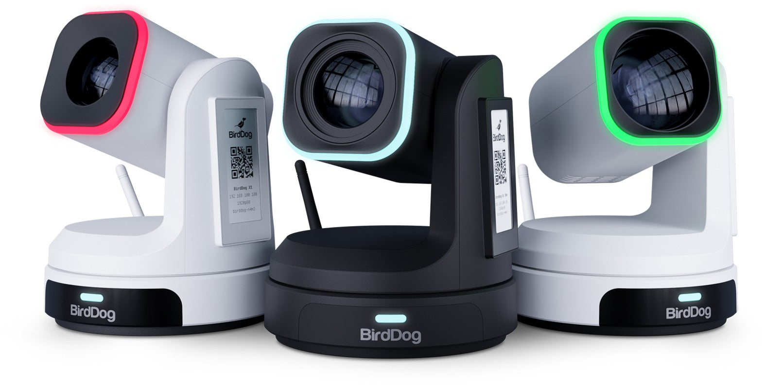 BirdDog DC5.5/2.5 to BirdDog Camera (P-Series, X1/X1Ultra/X1-30, MAX and X5 Ultra) - 60cm