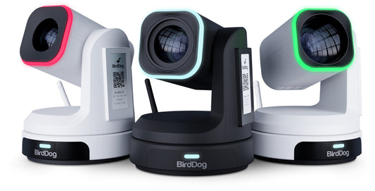 BirdDog DC5.5/2.5 to BirdDog Camera (P-Series, X1/X1Ultra/X1-30, MAX and X5 Ultra) - 60cm