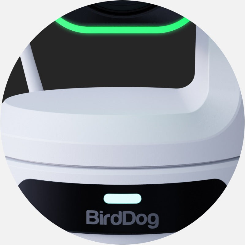 BirdDog DC5.5/2.5 to BirdDog Camera (P-Series, X1/X1Ultra/X1-30, MAX and X5 Ultra) - 60cm