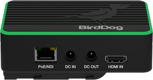 BirdDog Flex 4K OUT - NDI Decoder (EOL)