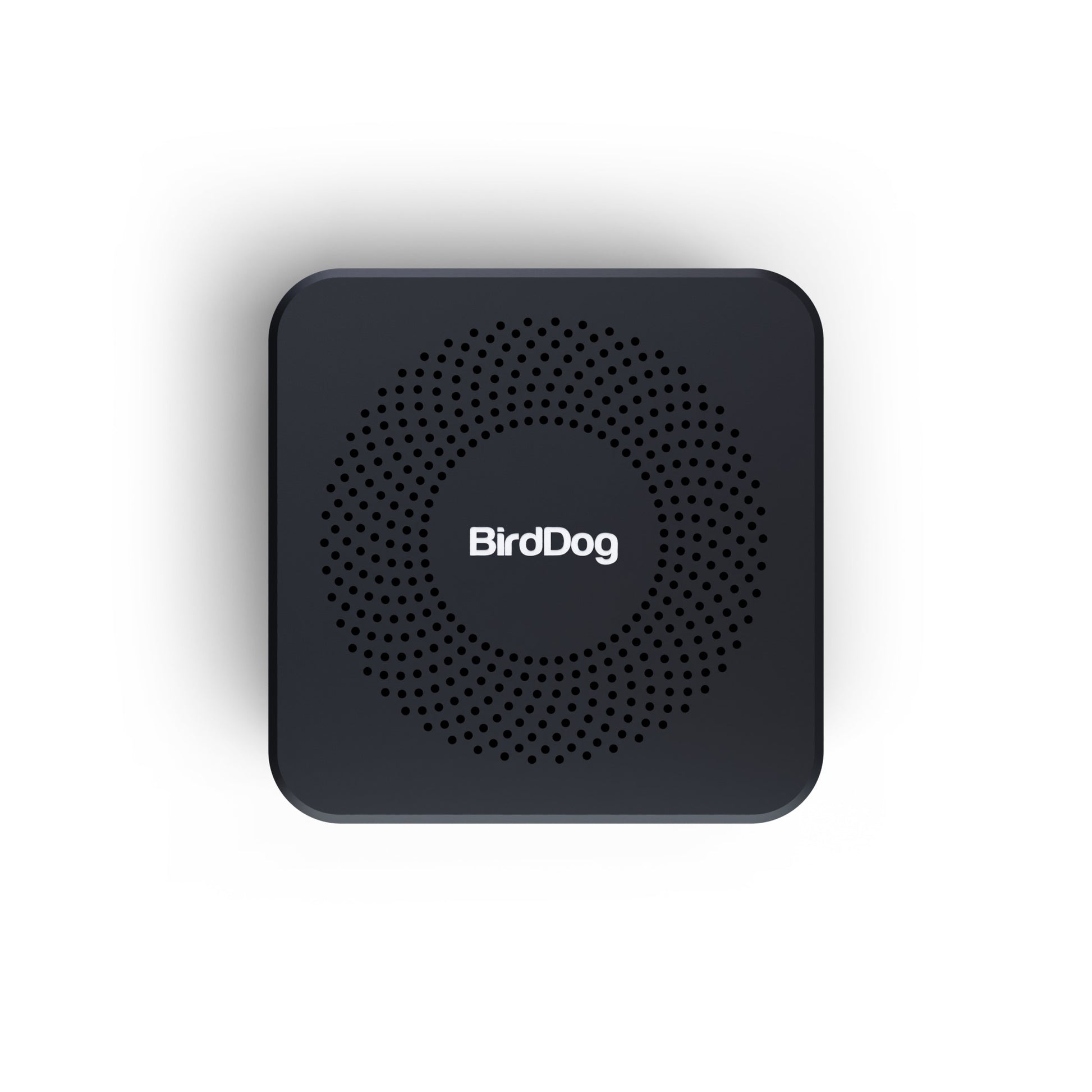 BirdDog PLAY PRO