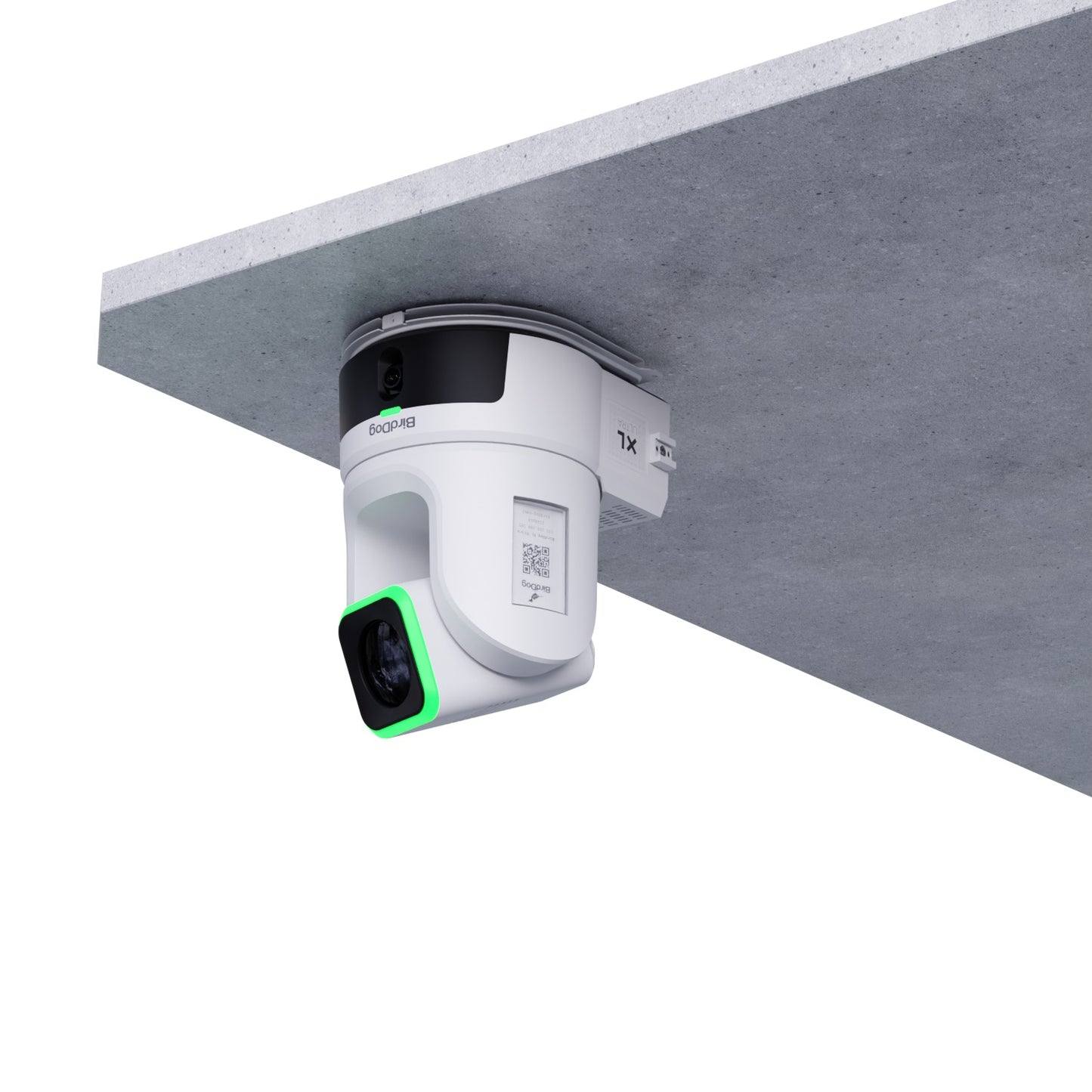 BirdDog XL Ultra / O4 Ceiling Mount (White)