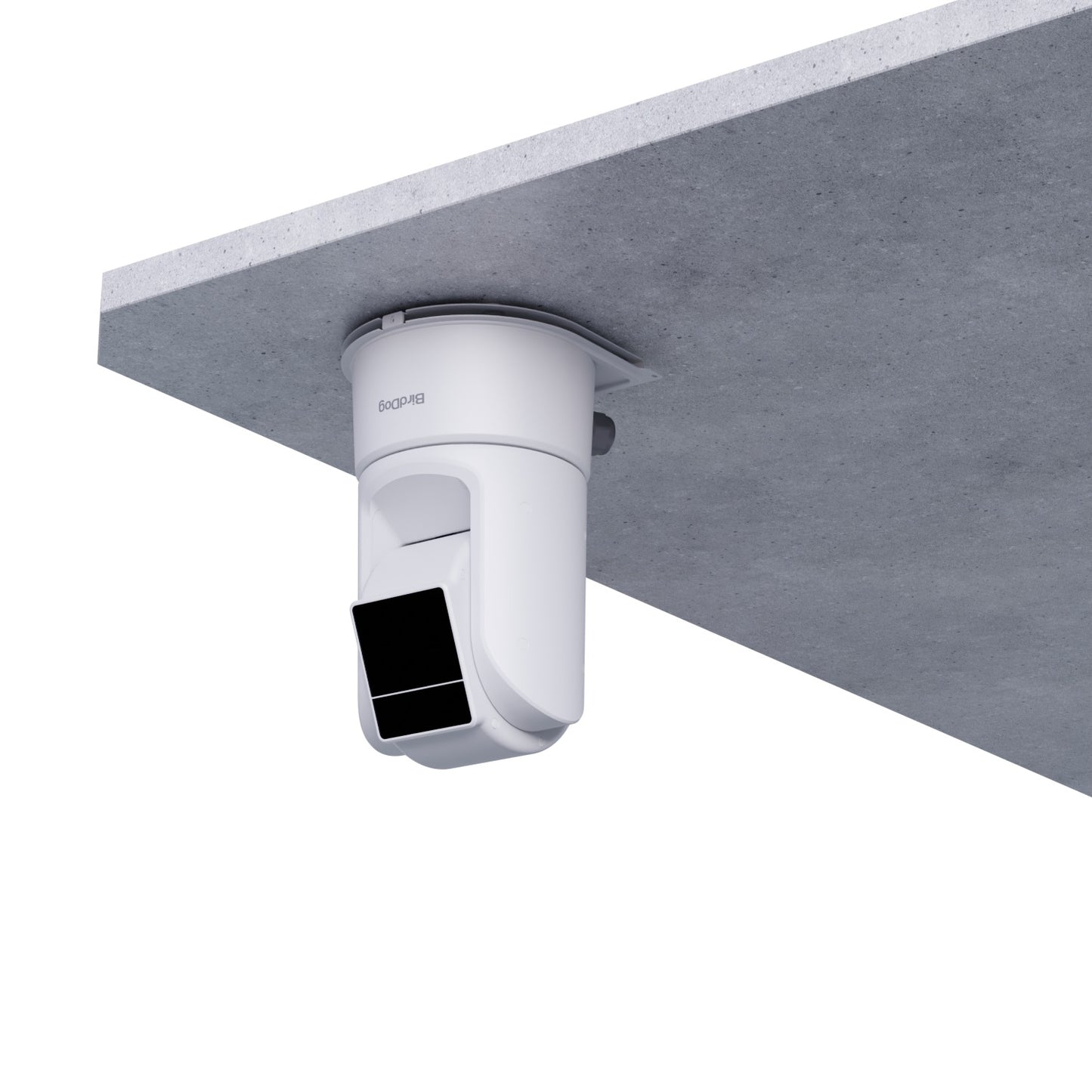 BirdDog XL Ultra / O4 Ceiling Mount (White)