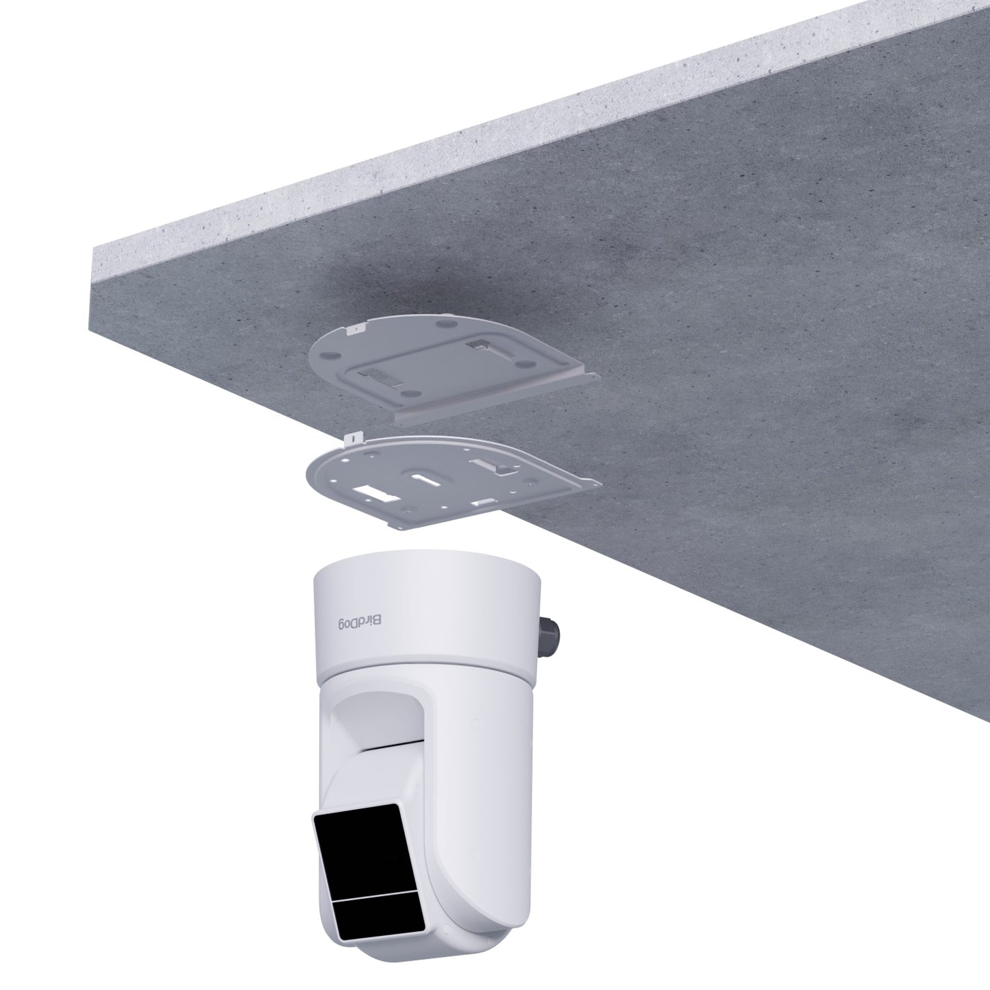 BirdDog XL Ultra / O4 Ceiling Mount (White)