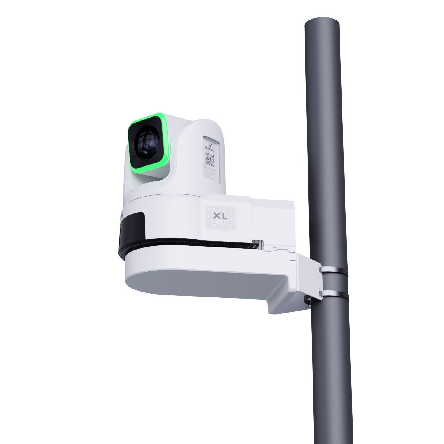 BirdDog XL Ultra Pole Mount (White)