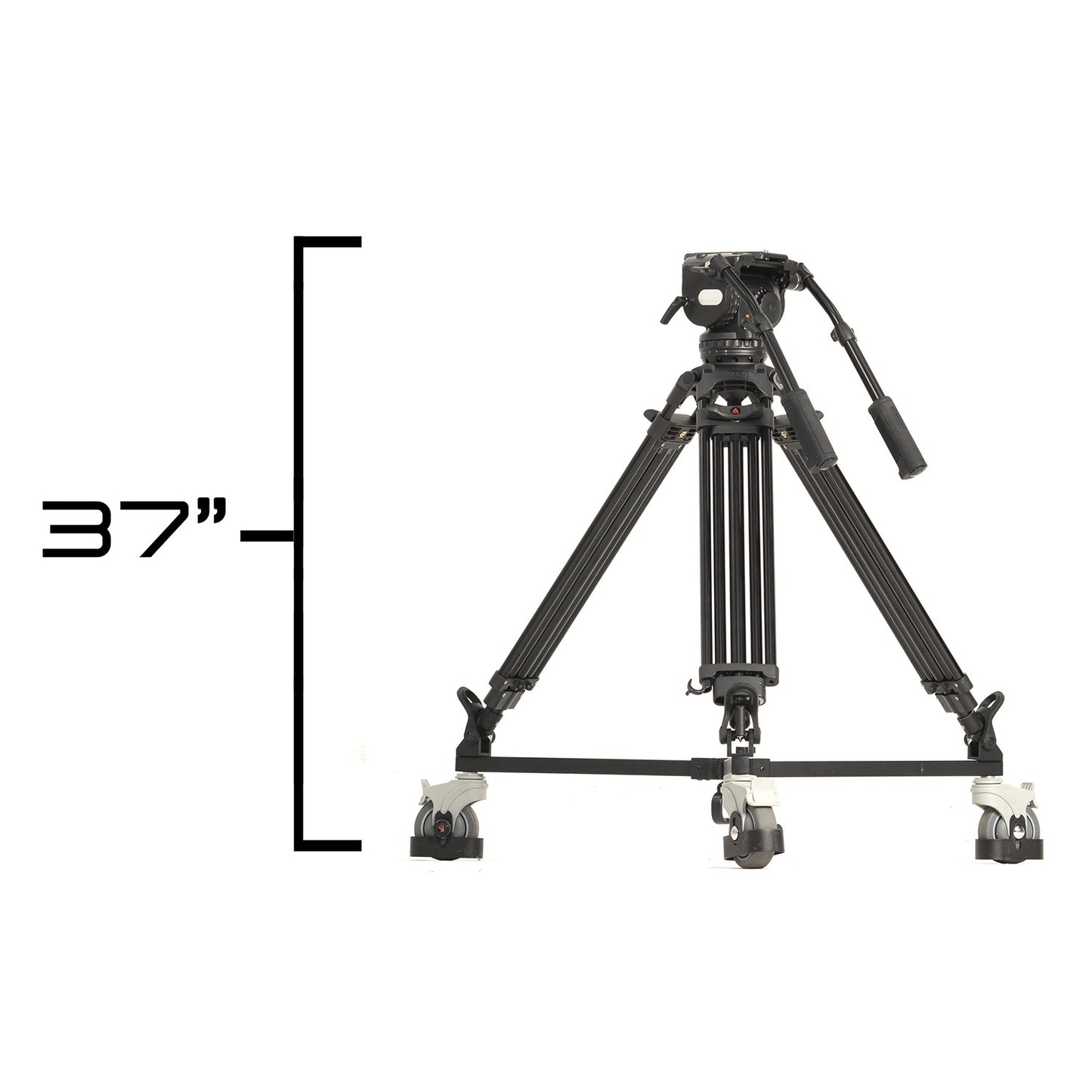 Ikan 19″ Widescreen Teleprompter, Tripod & Dolly Turnkey