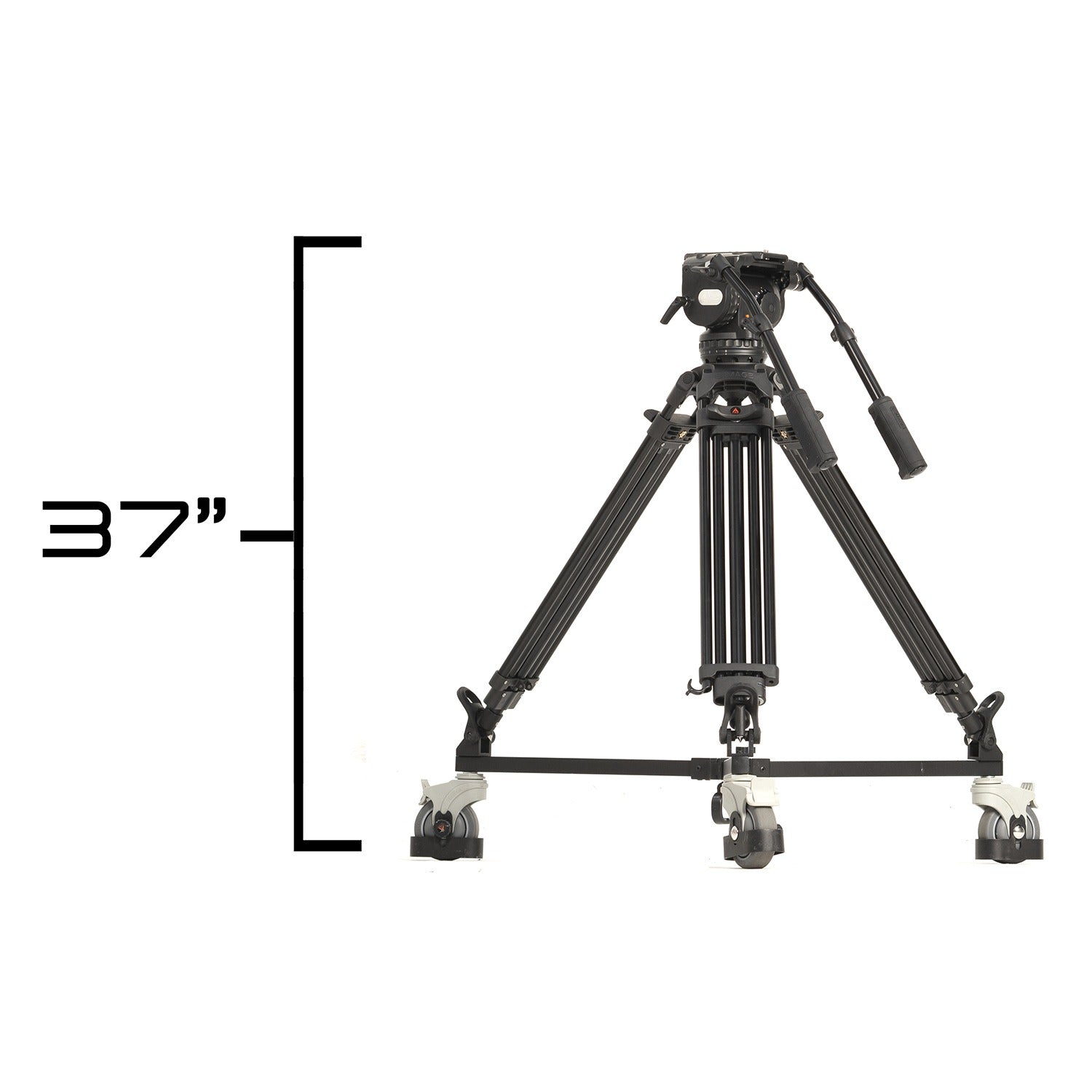 Ikan 19″ Widescreen Teleprompter w/ Talent Monitor, Tripod & Dolly Turnkey