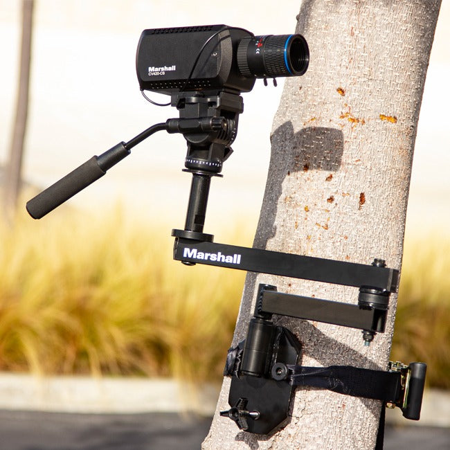 Marshall CVM-22 - 1/4-20” Thread Pole/Tree Mount with Adjustable Strap