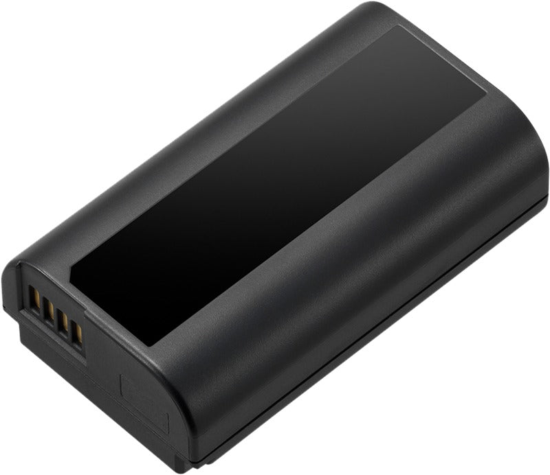 Panasonic Battery for S1 Series