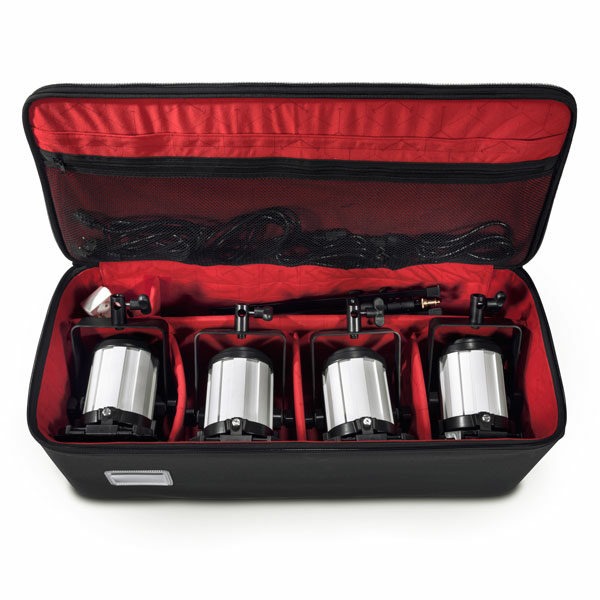 Sachtler Lite Case – L